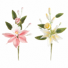 BOUQUET ORQUIDEA ROSA-AMARILLO 11CM/8U(220001)