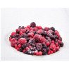 COCKTEL FRUTAS ROJAS CONG. BOLSA 1 KG.
