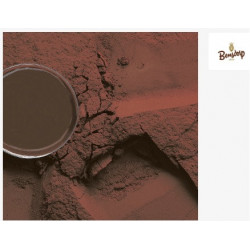 CACAO POLVO 22-24% BENSDORP, SACO 25 KG