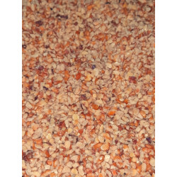 NUECES TROCITOS USA (4/9MM), CAJA 13.61 KG